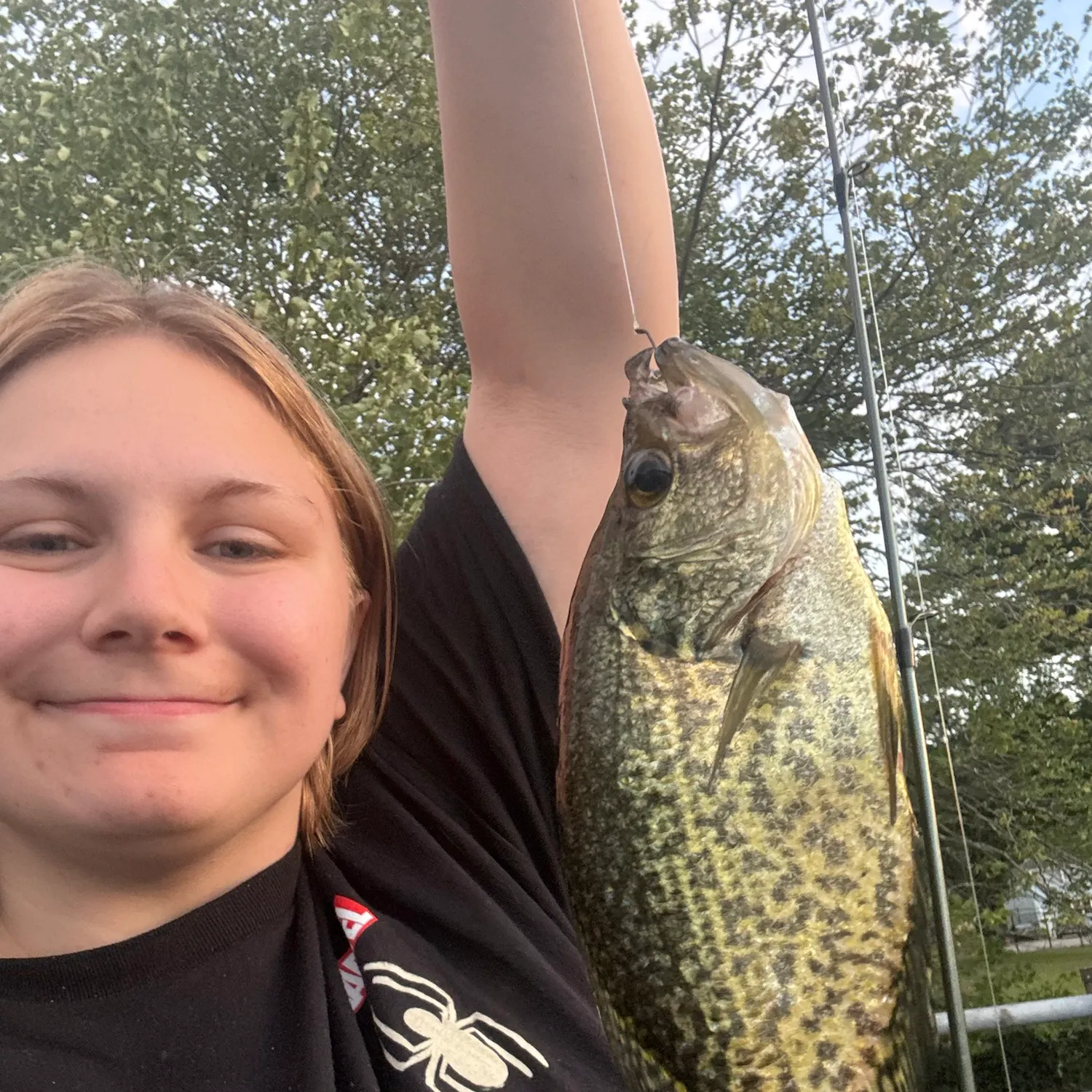 Black crappie caught on Fishbrain