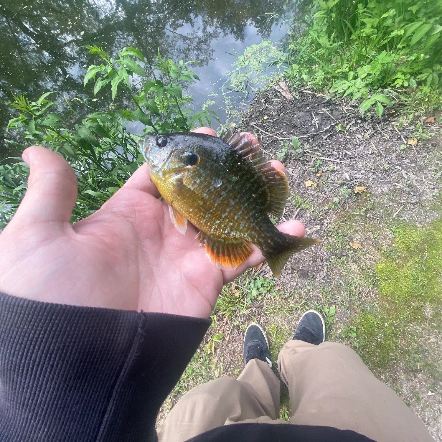catch