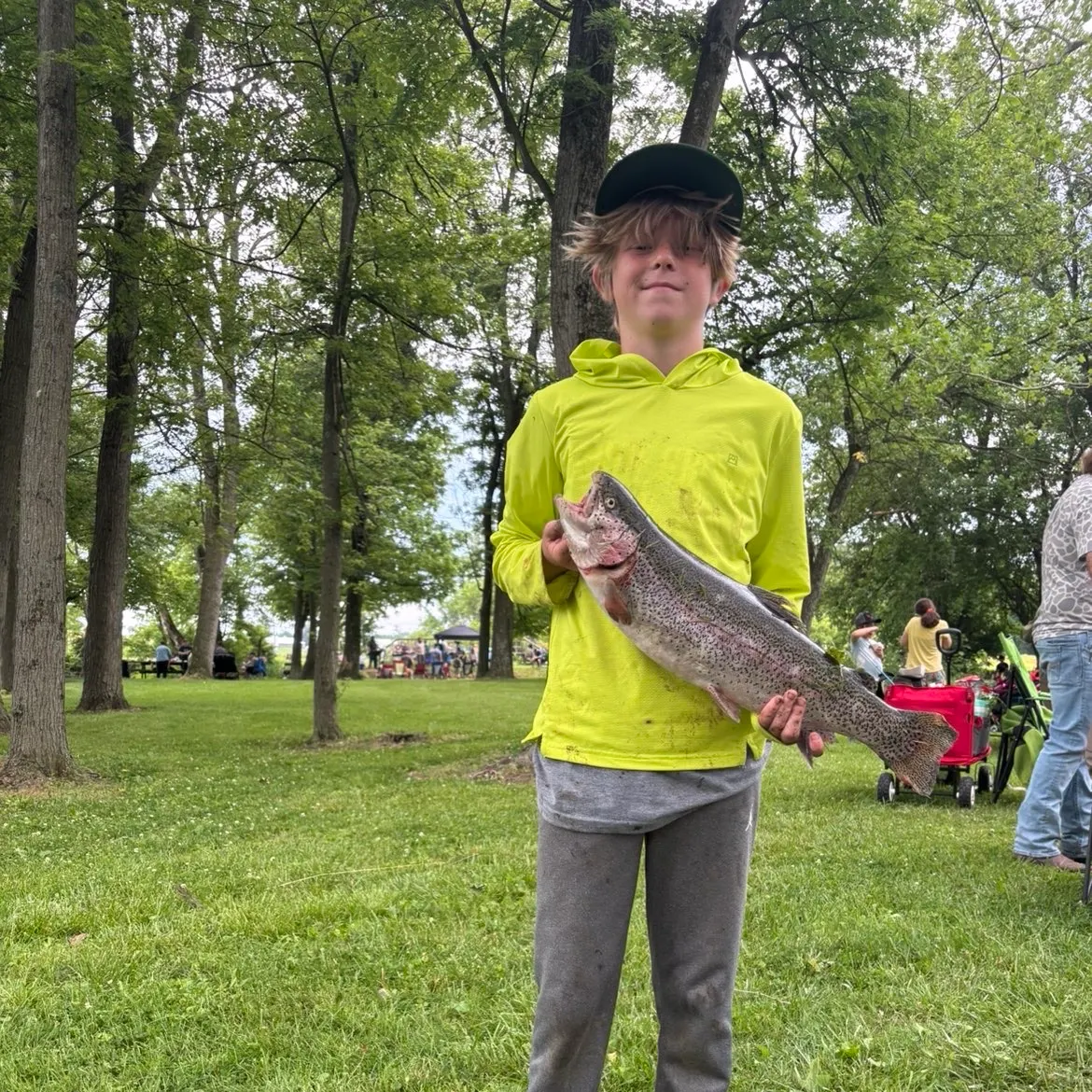 Rainbow trout caught on Fishbrain
