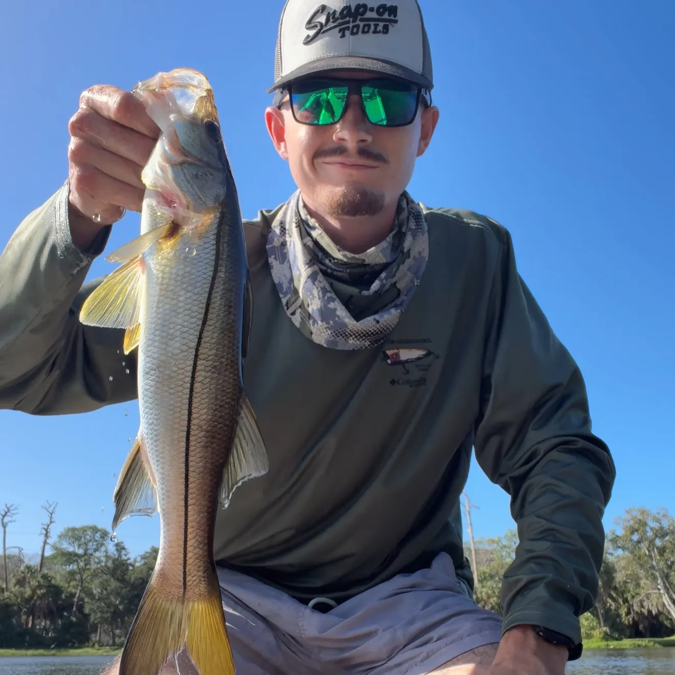 The most recent Common snook catches on Fishbrain