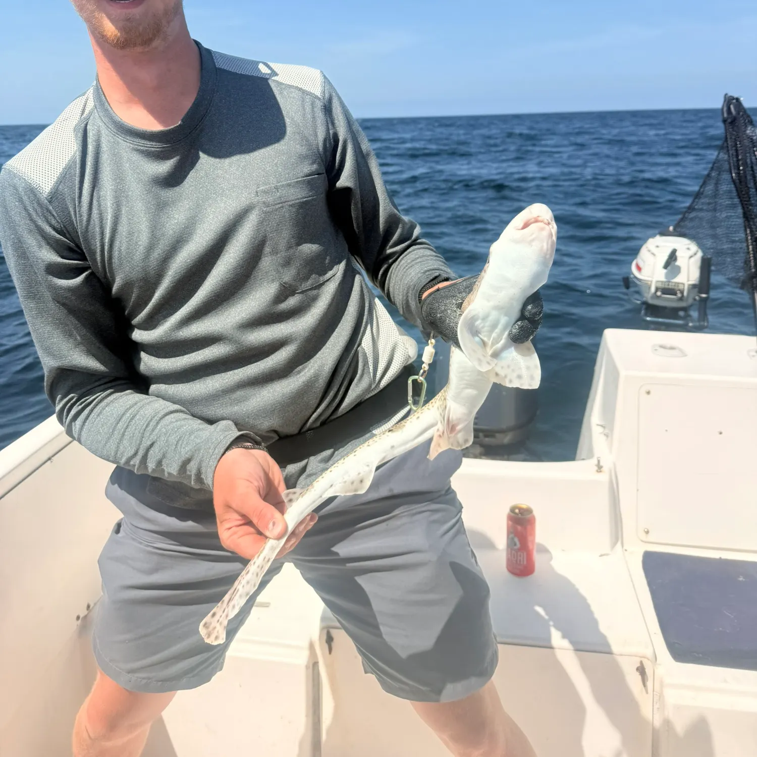 The most recent Lesser spotted dogfish catches on Fishbrain
