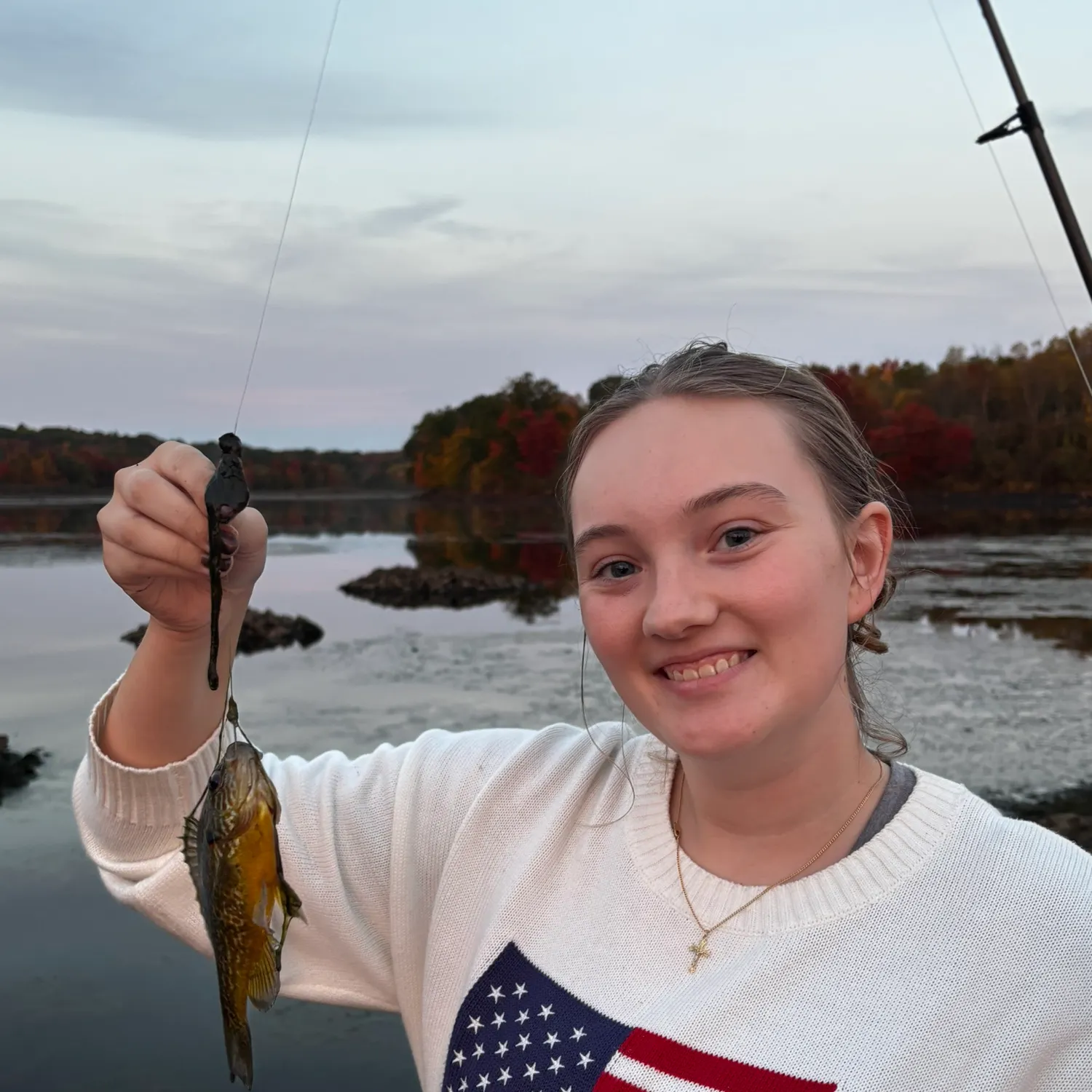 Pumpkinseed caught on Fishbrain