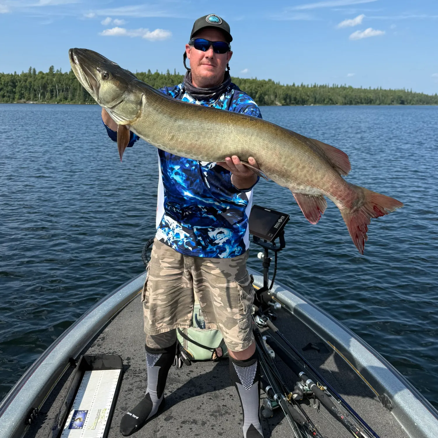 The most recent Muskellunge catches on Fishbrain