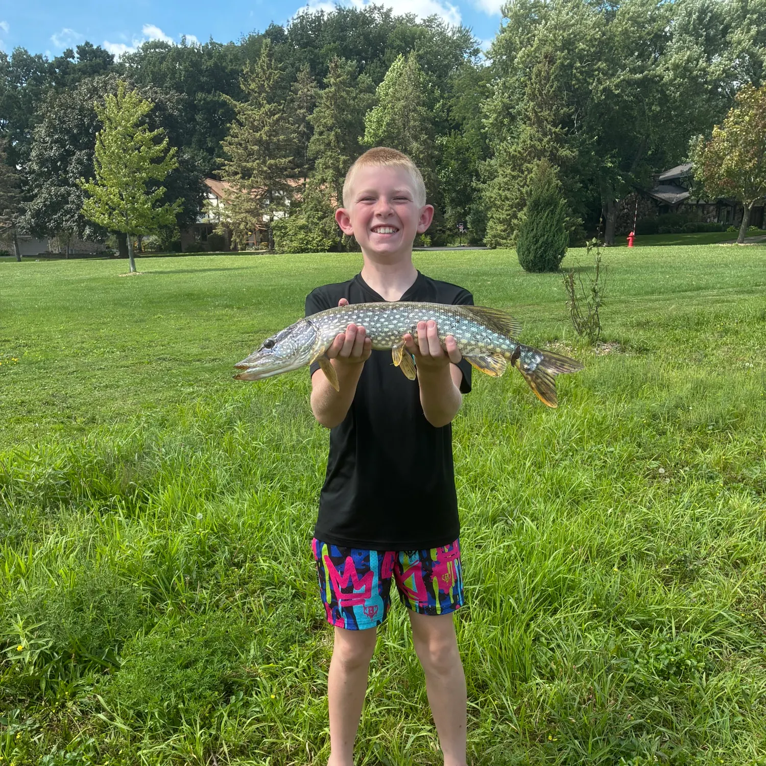 Northern pike caught on Fishbrain