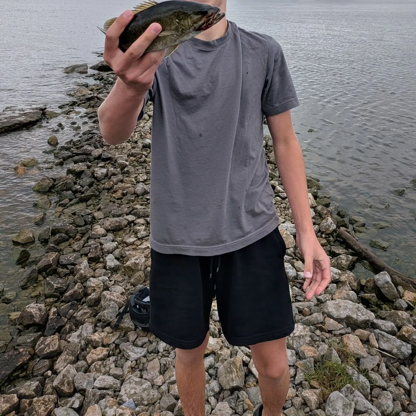 Smallmouth bass caught on Fishbrain