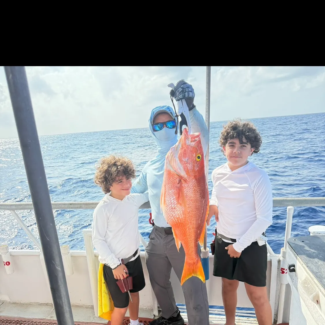 The most recent Queen Snapper catches on Fishbrain