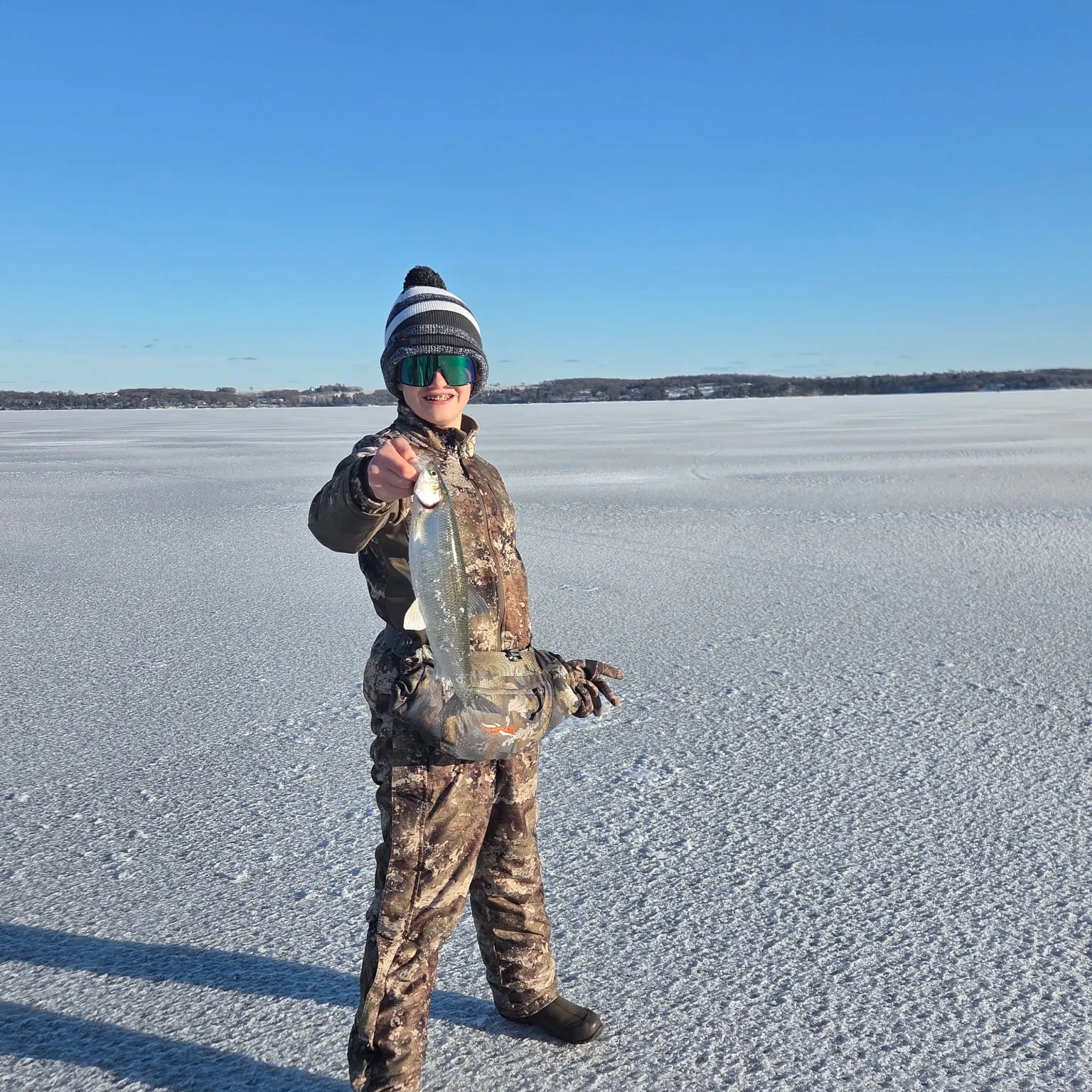 The most recent Northern cisco catches on Fishbrain