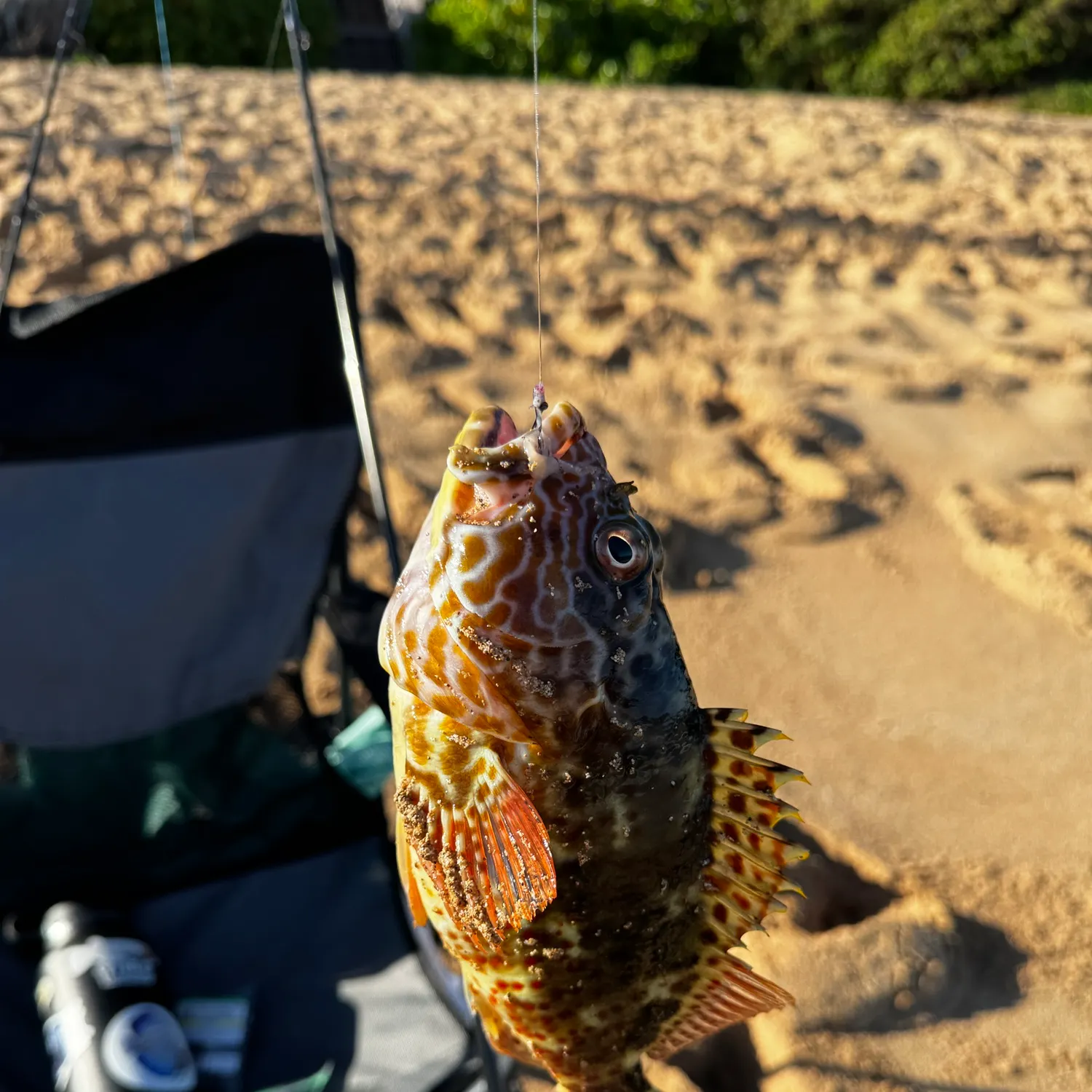 catch