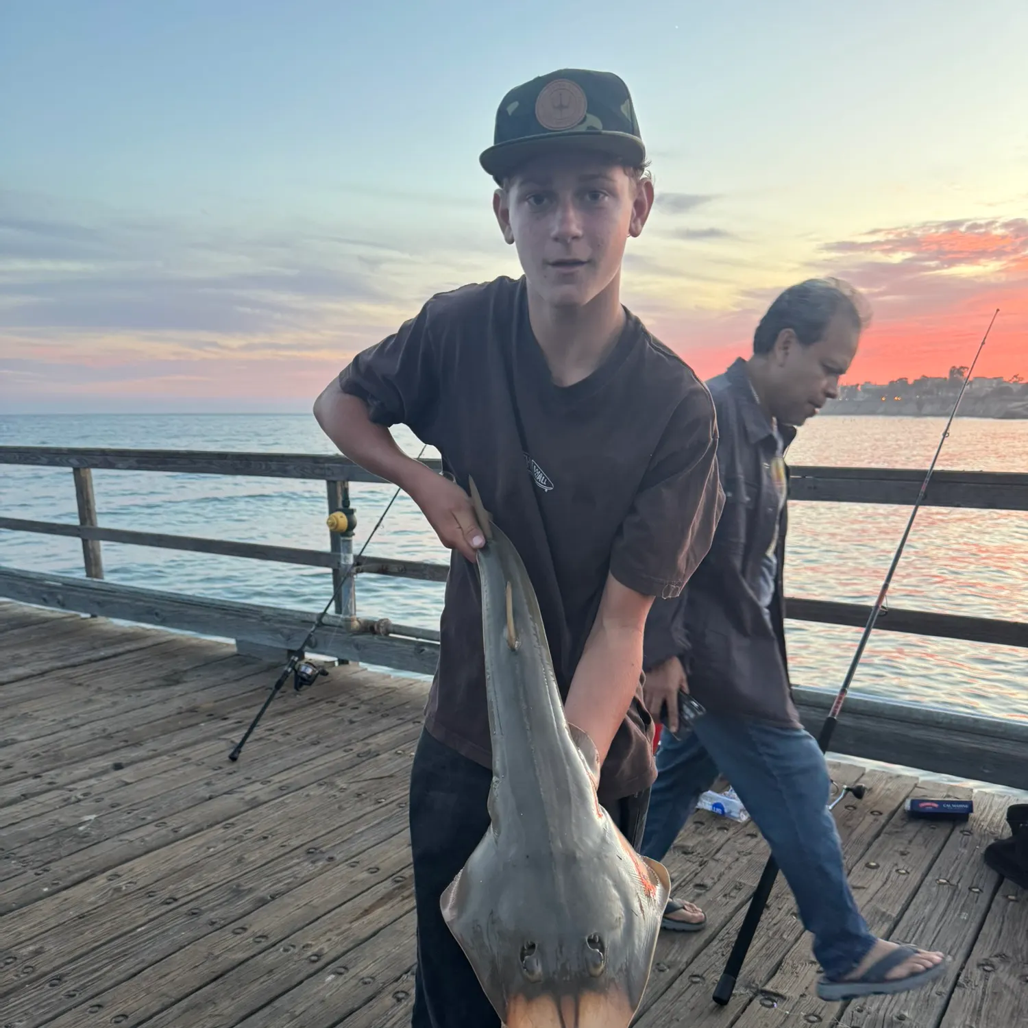 The most recent Pacific shovelnose guitarfish catches on Fishbrain