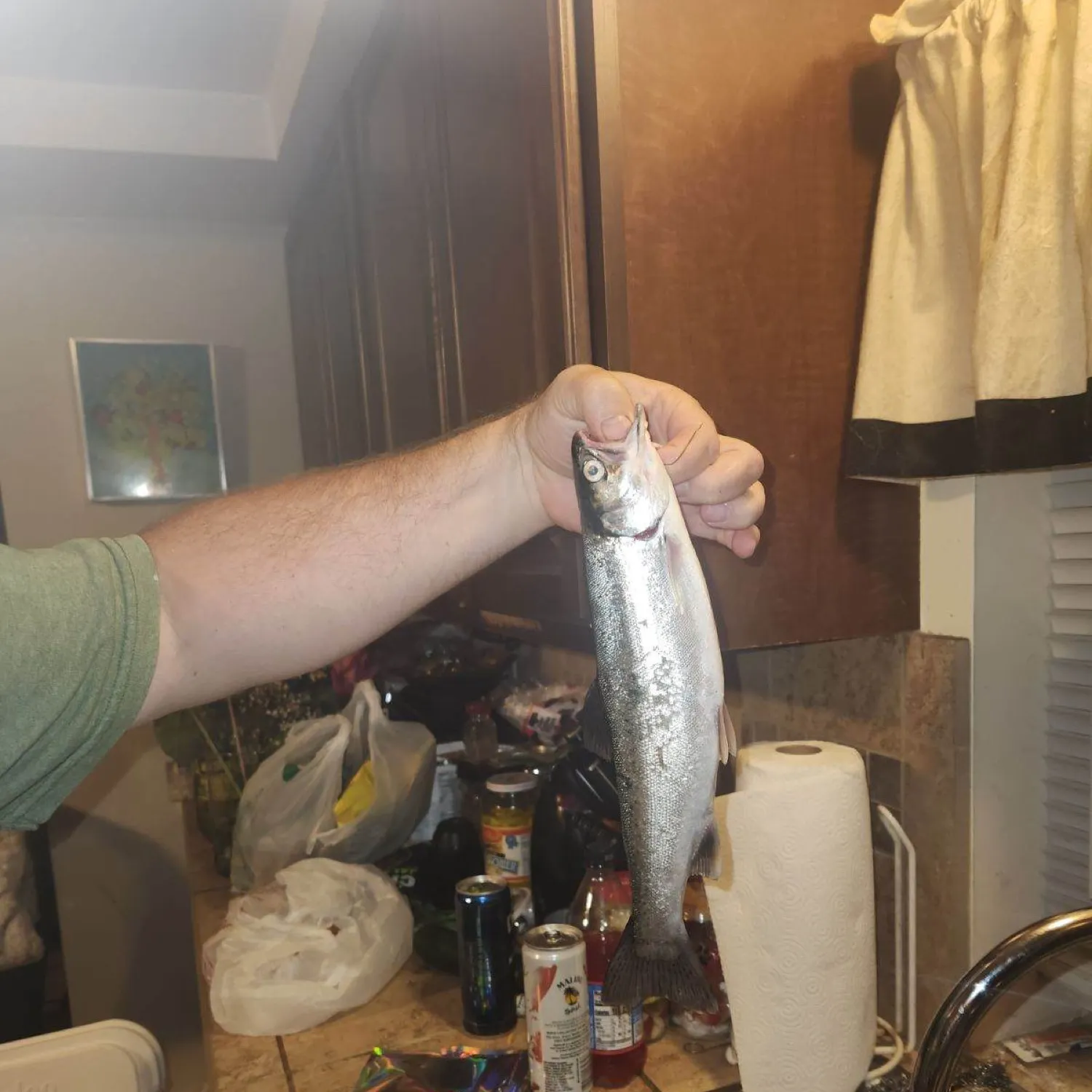 angler catch