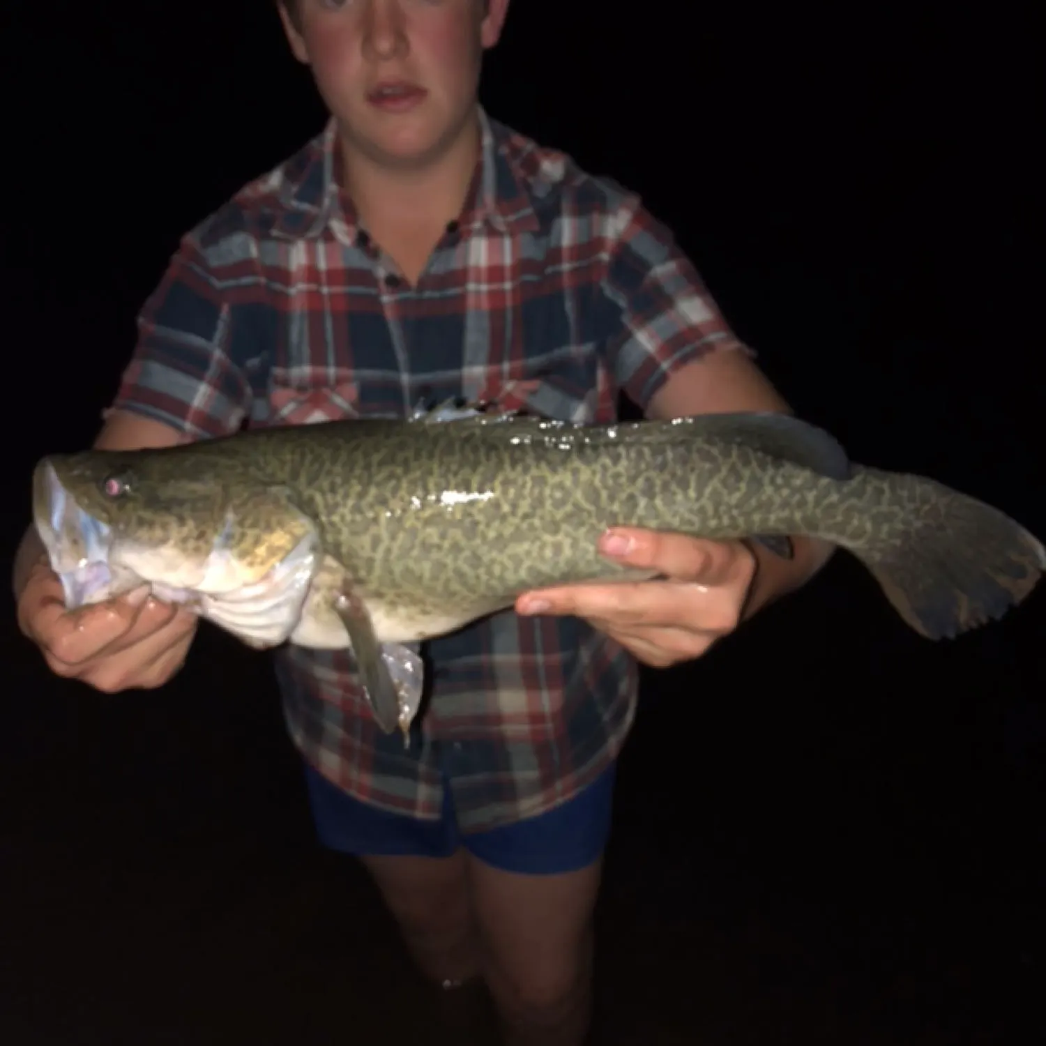 angler catch