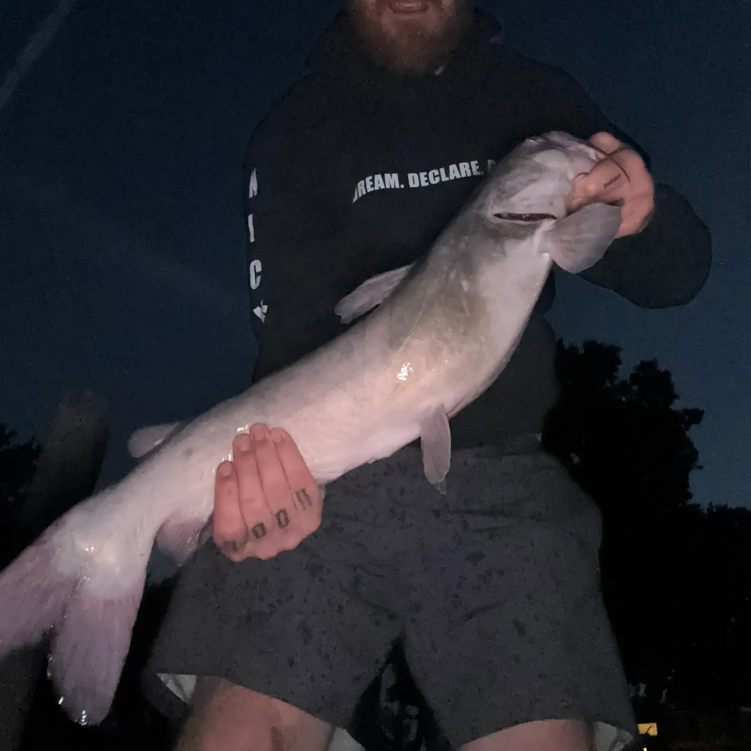Blue catfish caught on Fishbrain