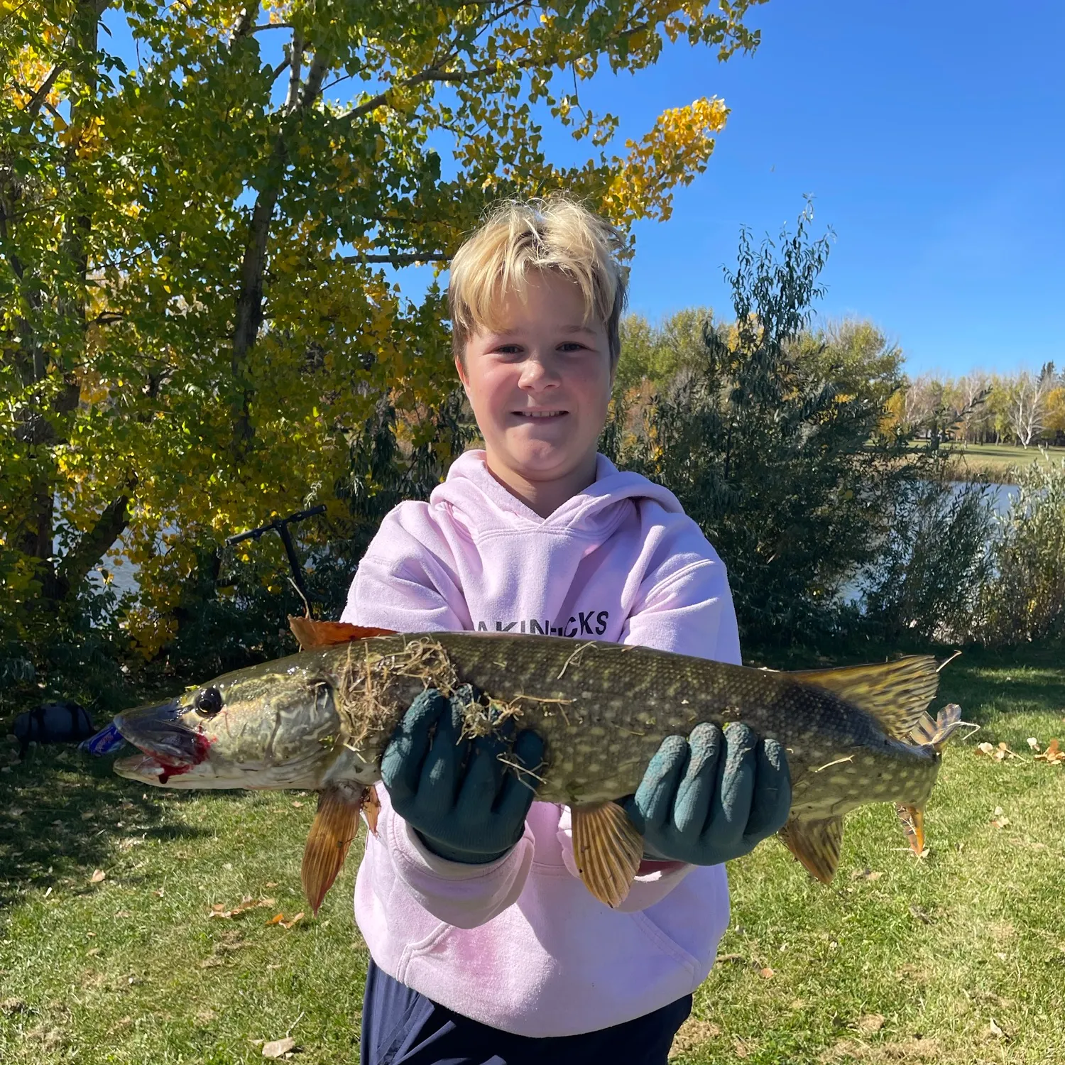 Northern pike caught on Fishbrain