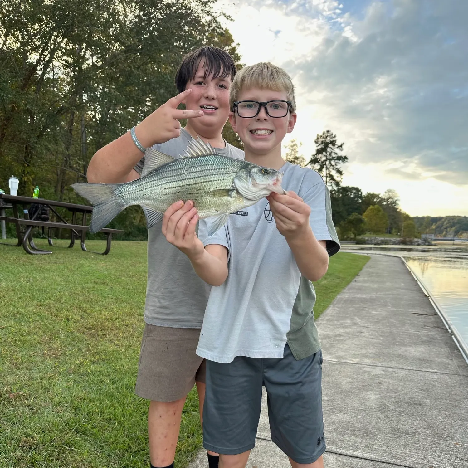 Wiper caught on Fishbrain
