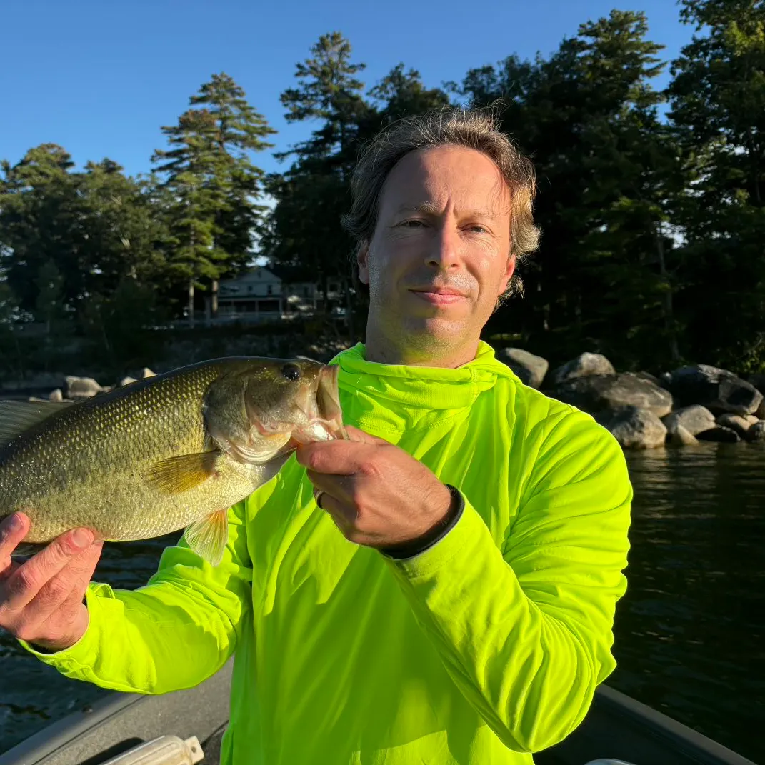 Largemouth bass caught on Fishbrain