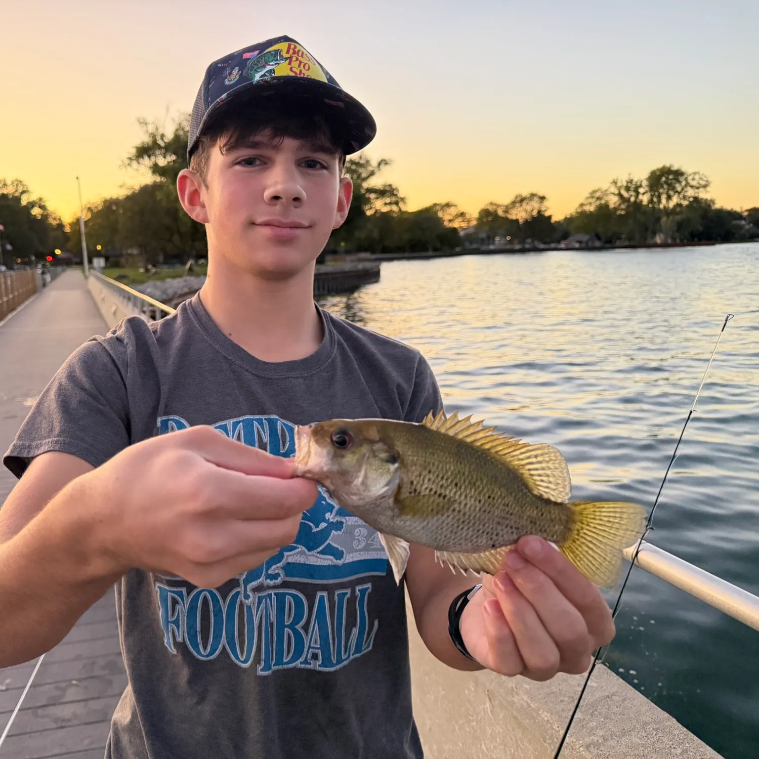 Rock bass caught on Fishbrain