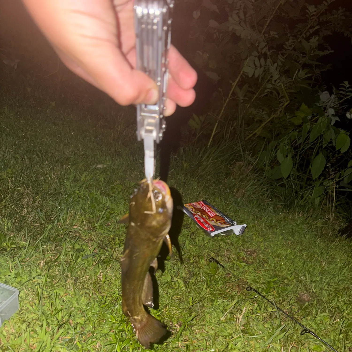 catch