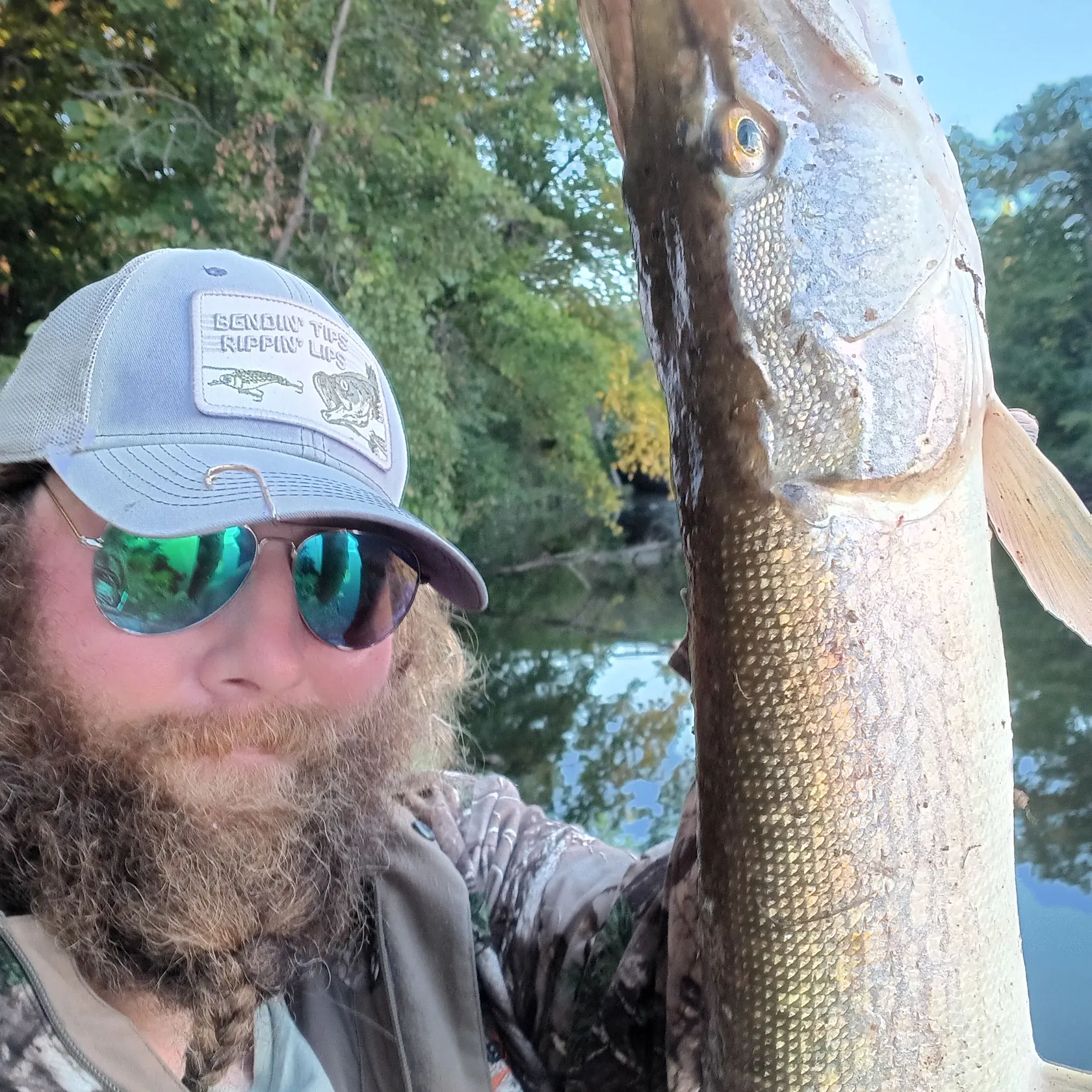 Northern pike caught on Fishbrain