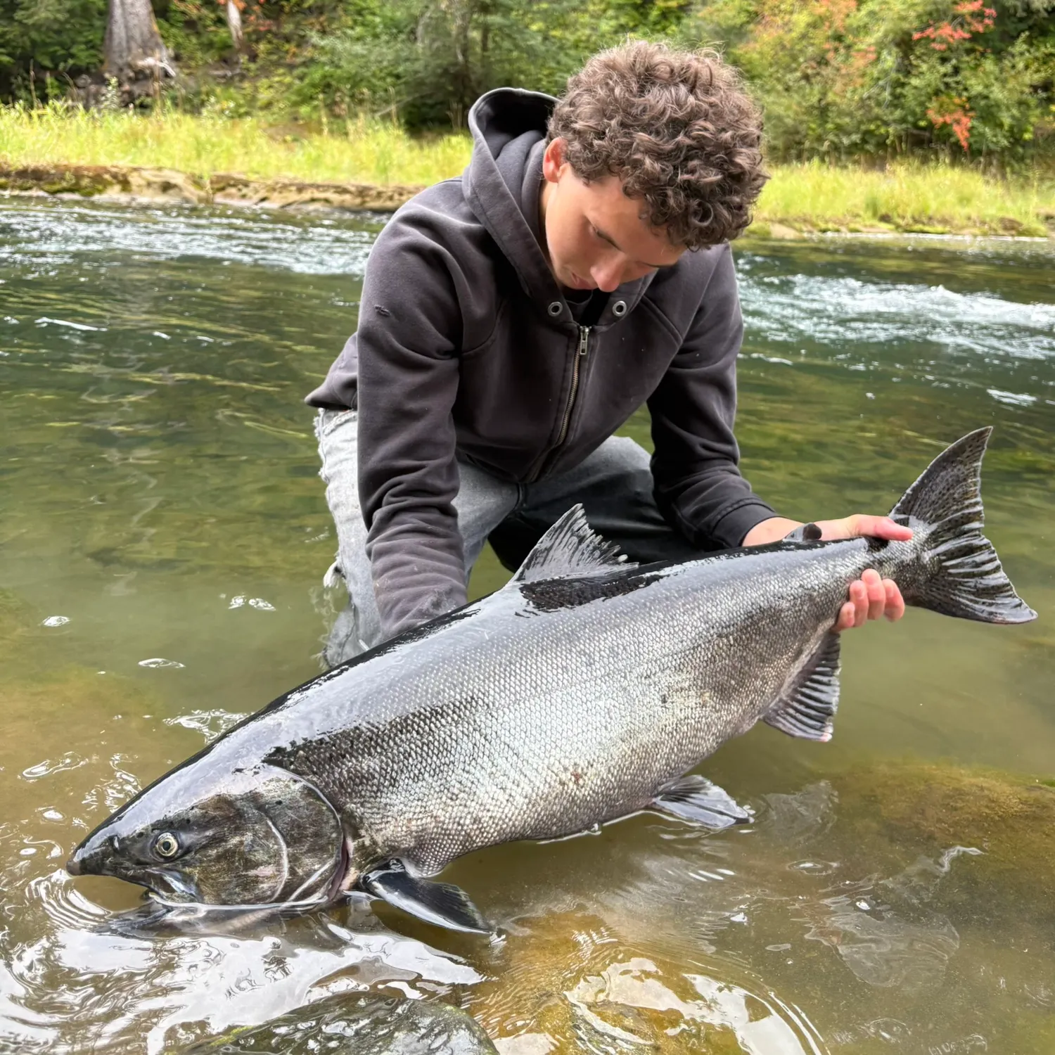 Chinook salmon caught on Fishbrain