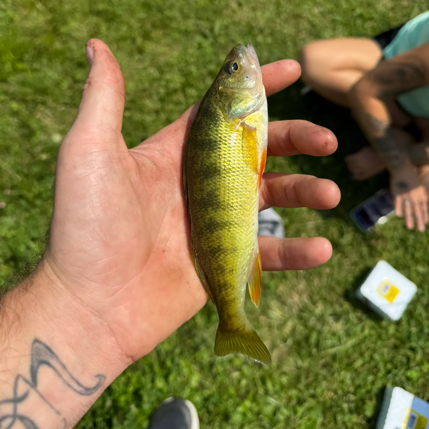 catch