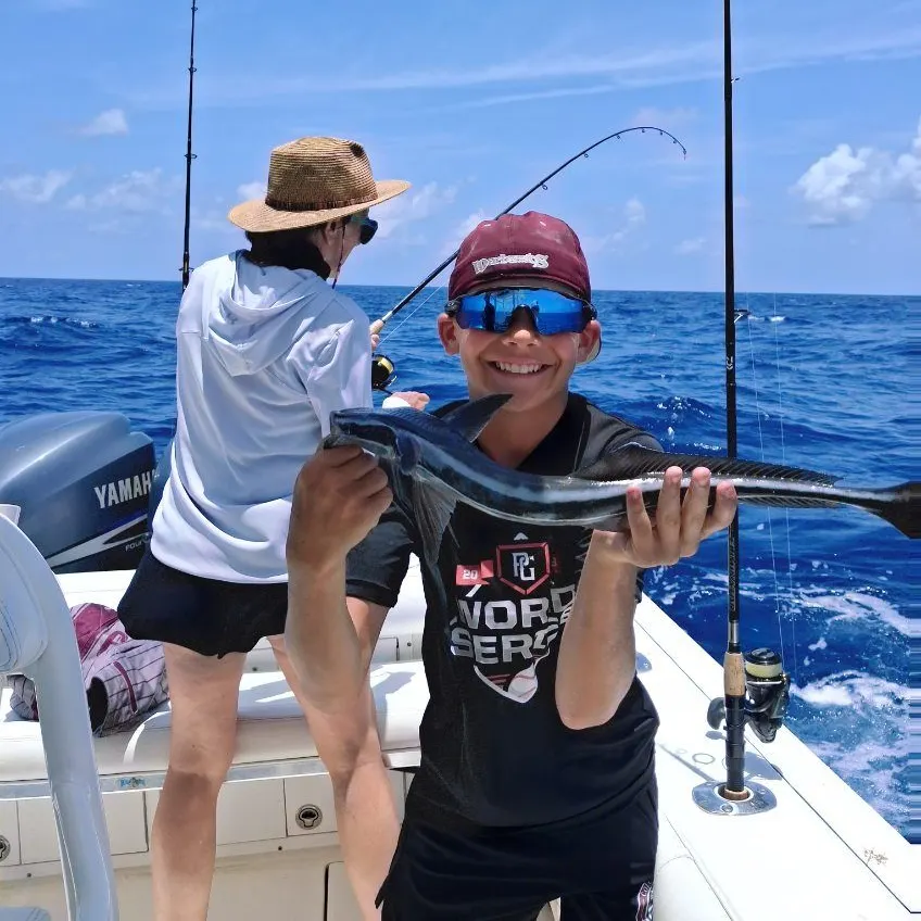 The most recent Live sharksucker catches on Fishbrain