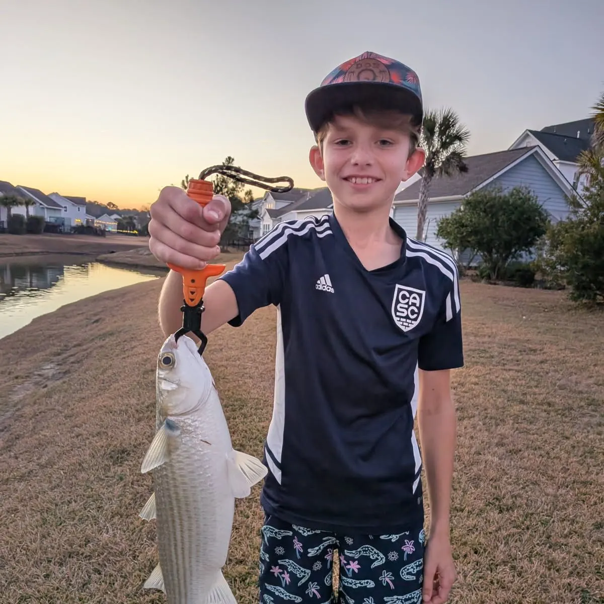 The most recent Striped mullet catches on Fishbrain