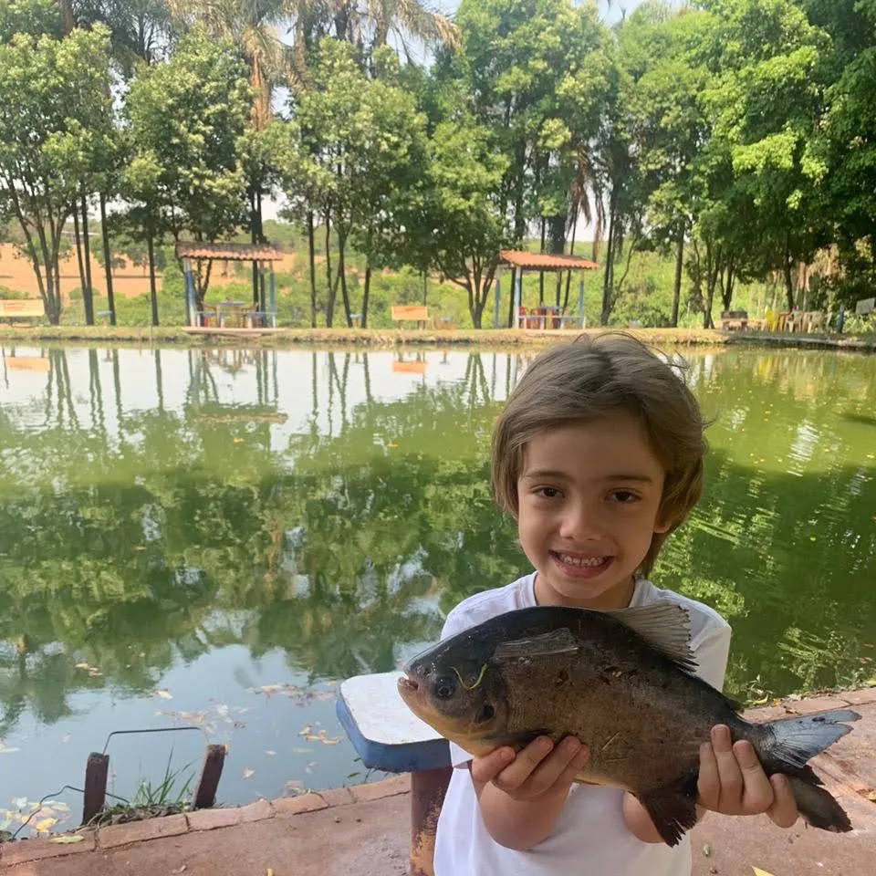 The most recent Small-scaled pacu catches on Fishbrain