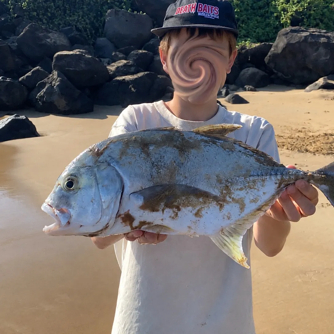 Giant trevally caught on Fishbrain
