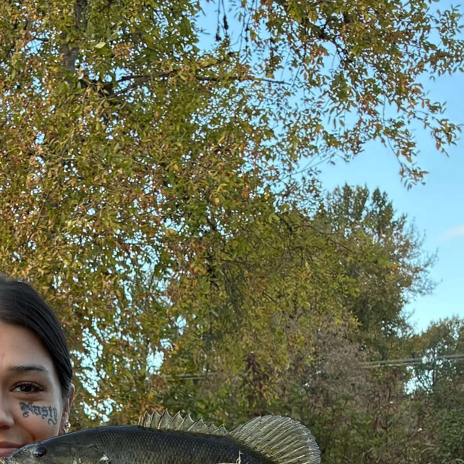 Smallmouth bass caught on Fishbrain