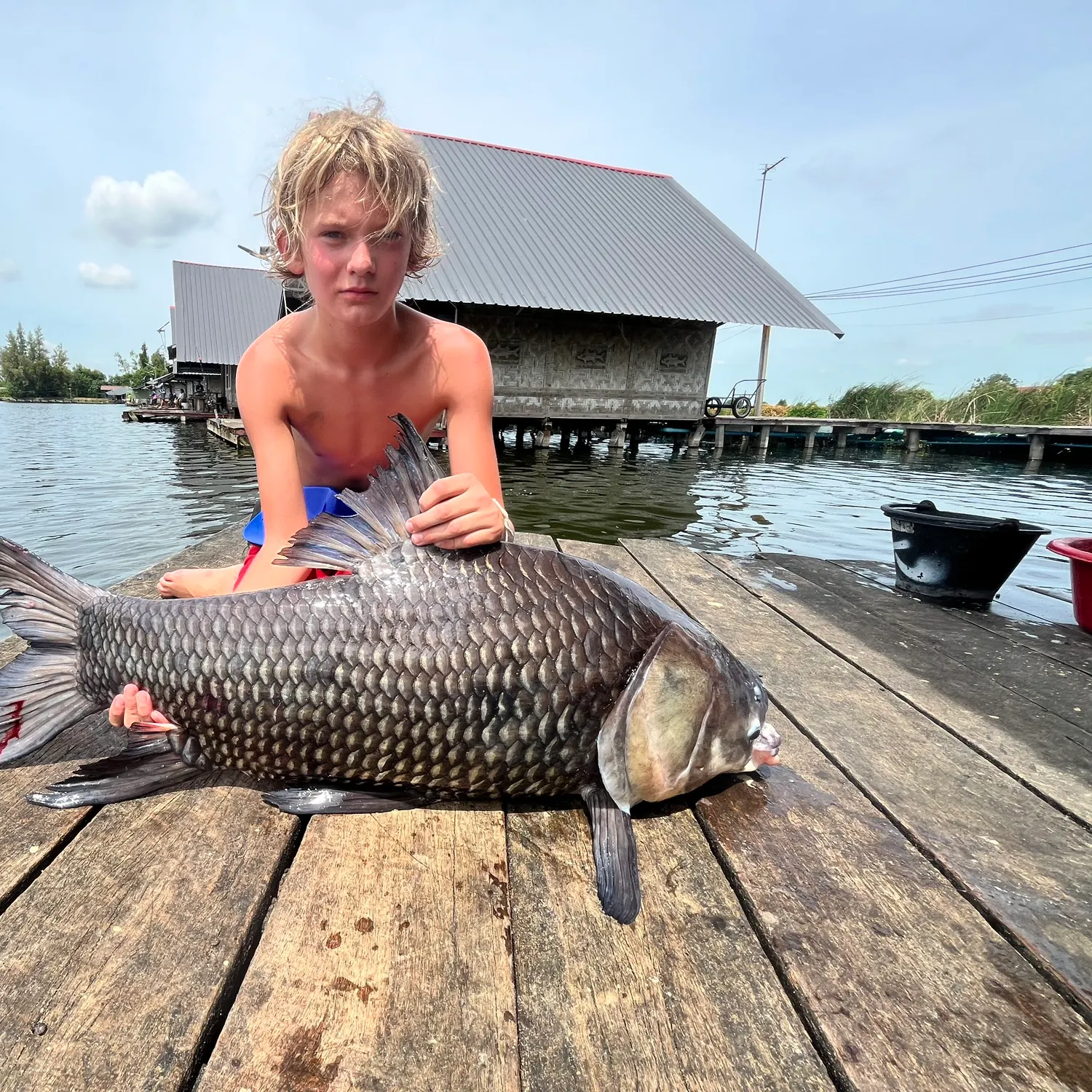 The most recent Siamese carp catches on Fishbrain