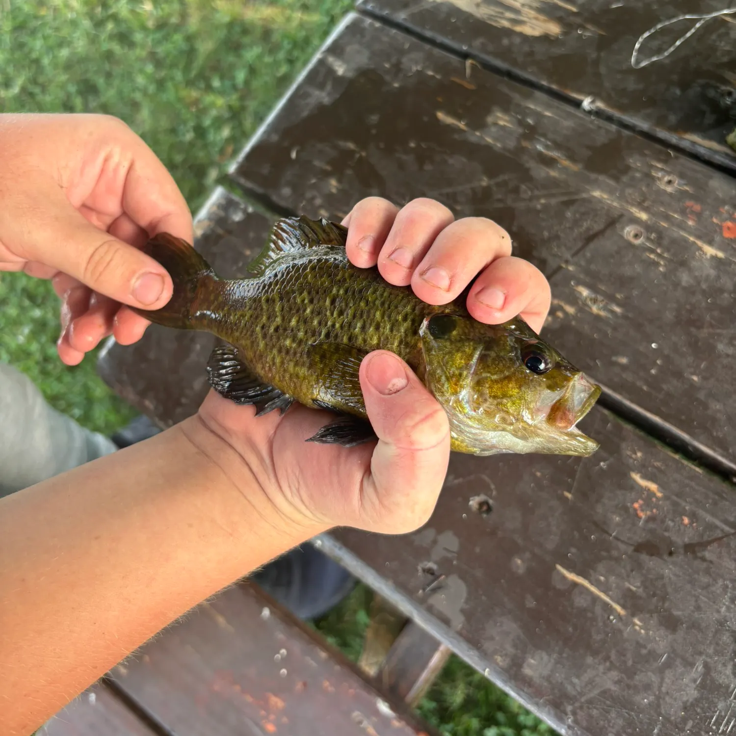 catch