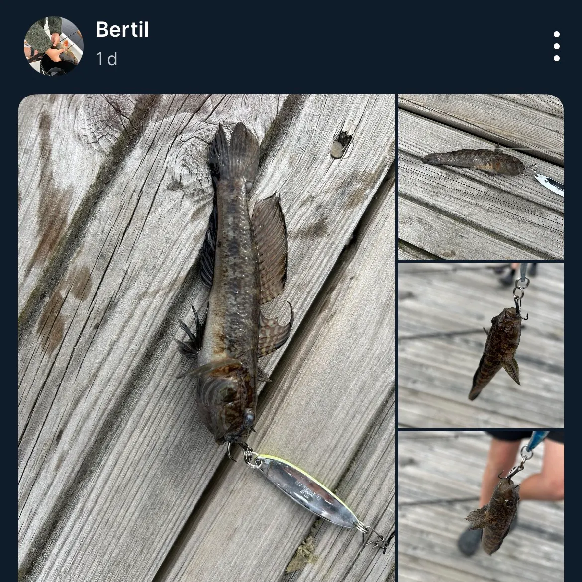 recently logged catches