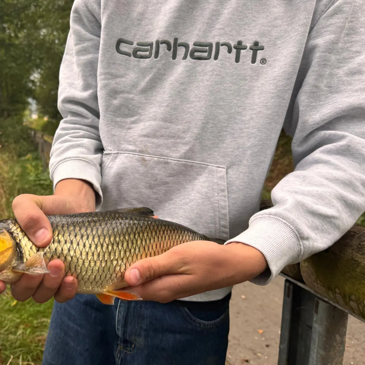 European chub caught on Fishbrain