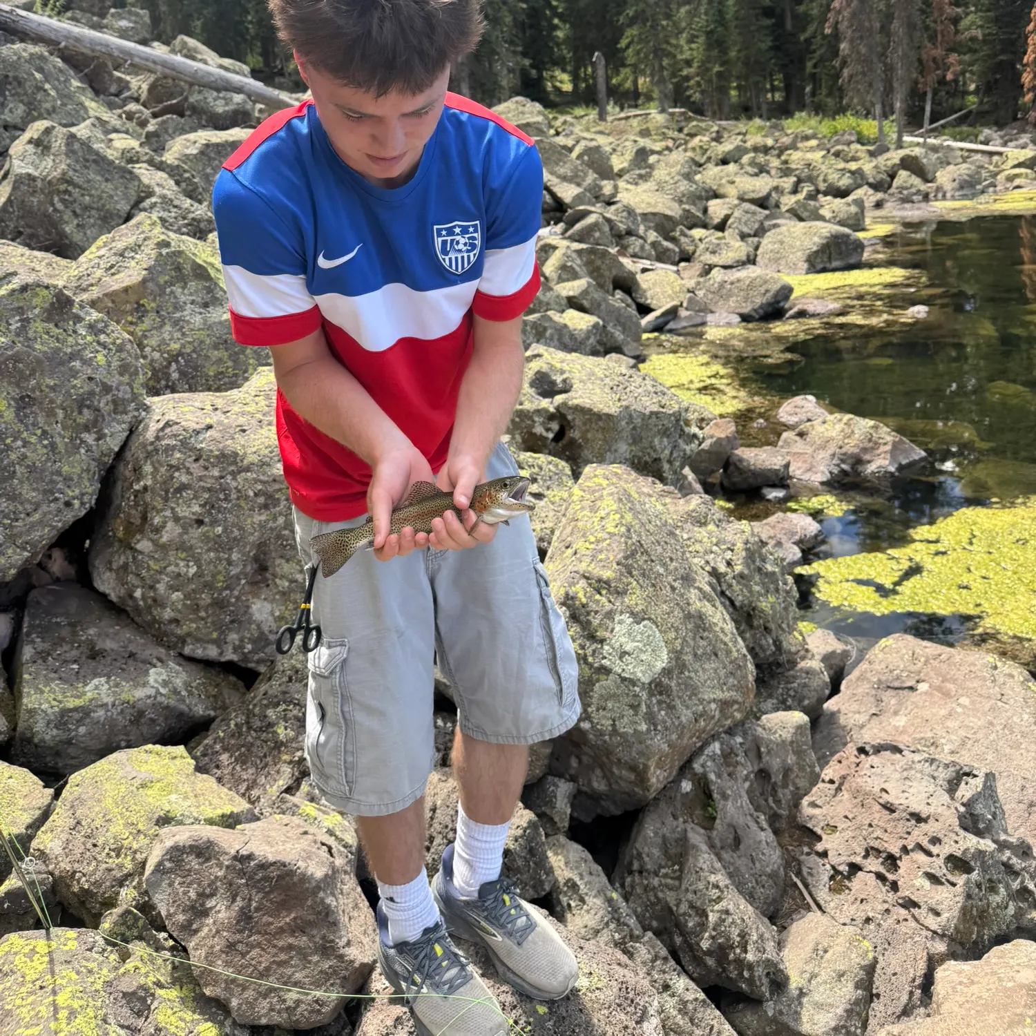 Rainbow trout caught on Fishbrain