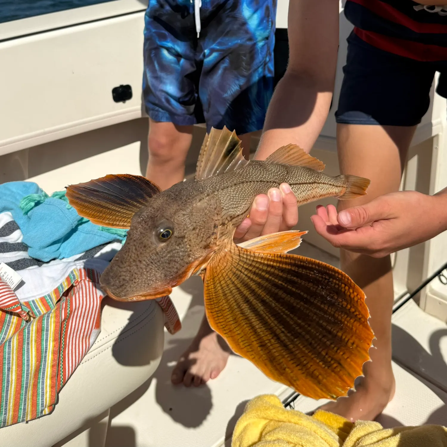 catch