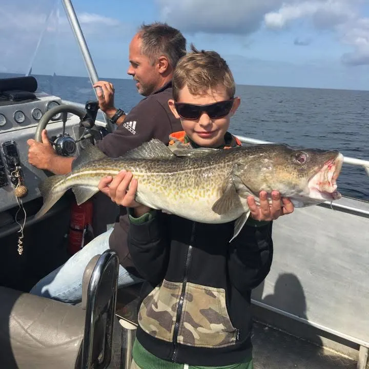 The most recent Atlantic cod catches on Fishbrain