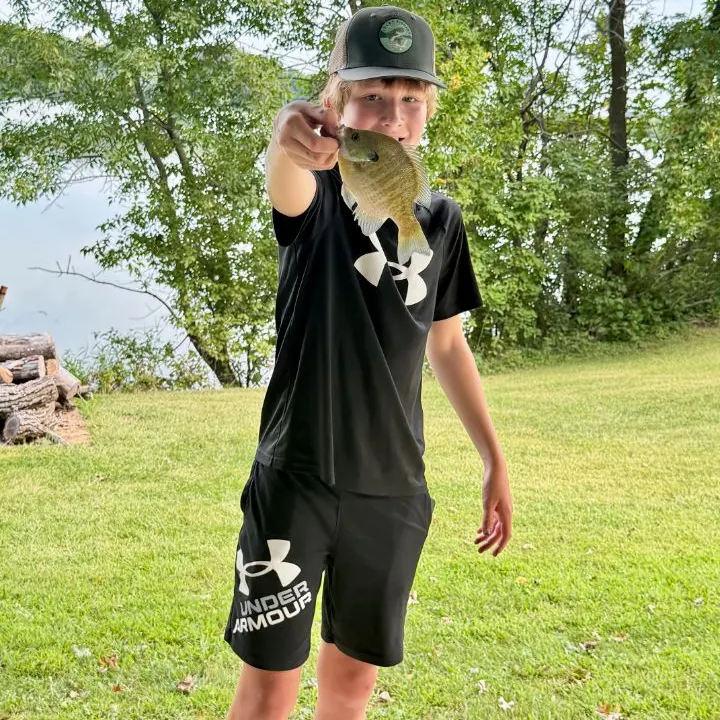 Bluegill caught on Fishbrain