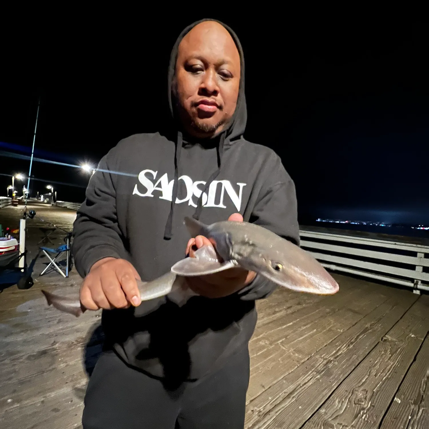 The most recent Common thresher catches on Fishbrain