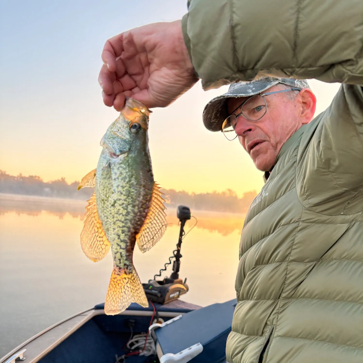 Black crappie caught on Fishbrain