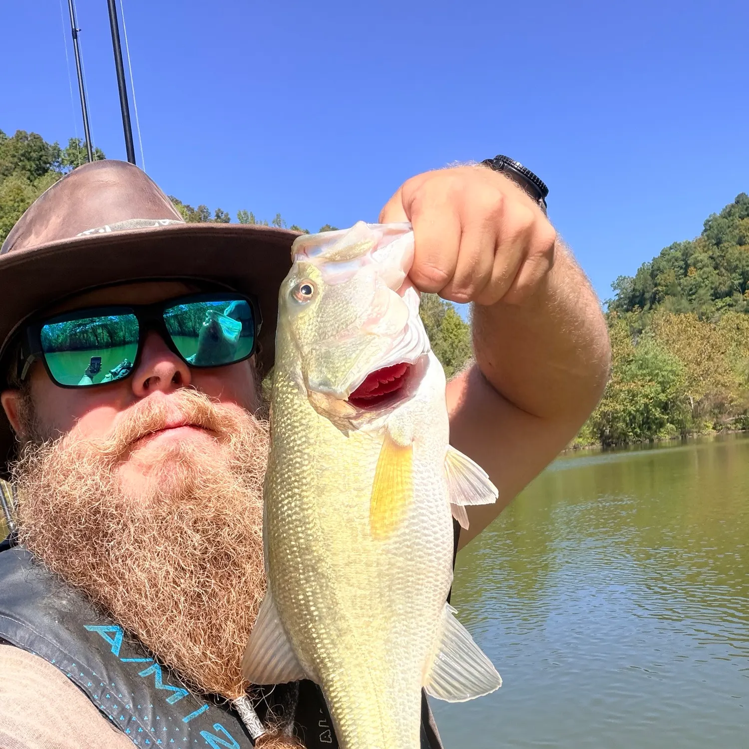 Largemouth bass caught on Fishbrain