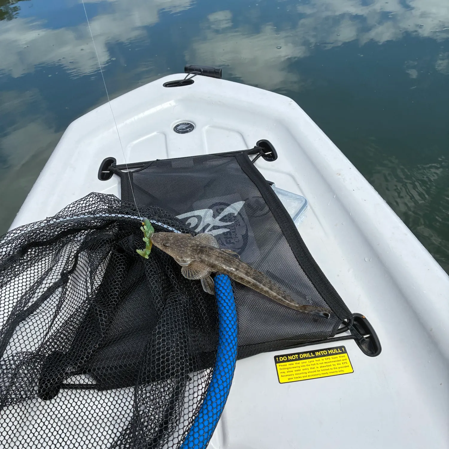 Dusky flathead caught on Fishbrain