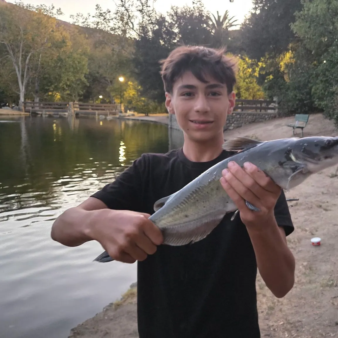 Channel catfish caught on Fishbrain