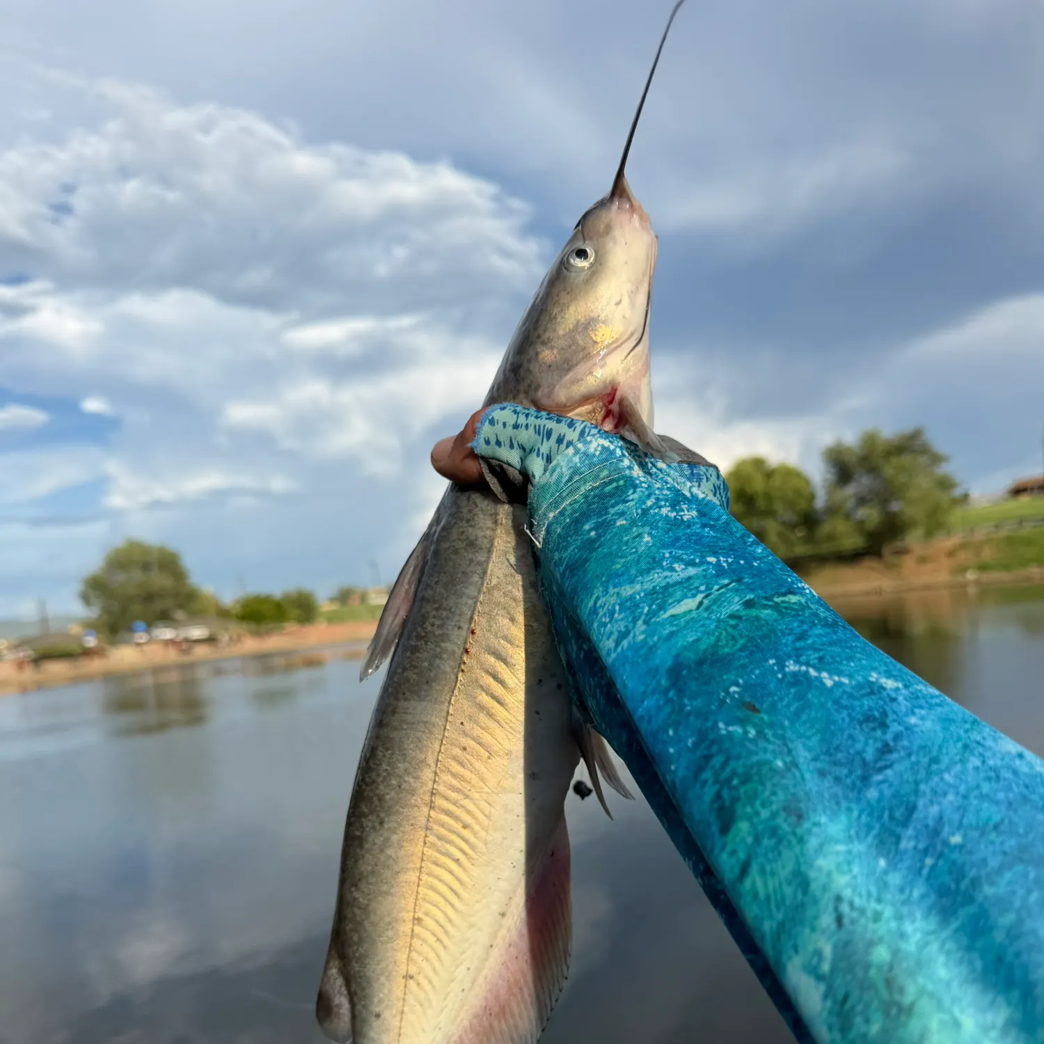 catch