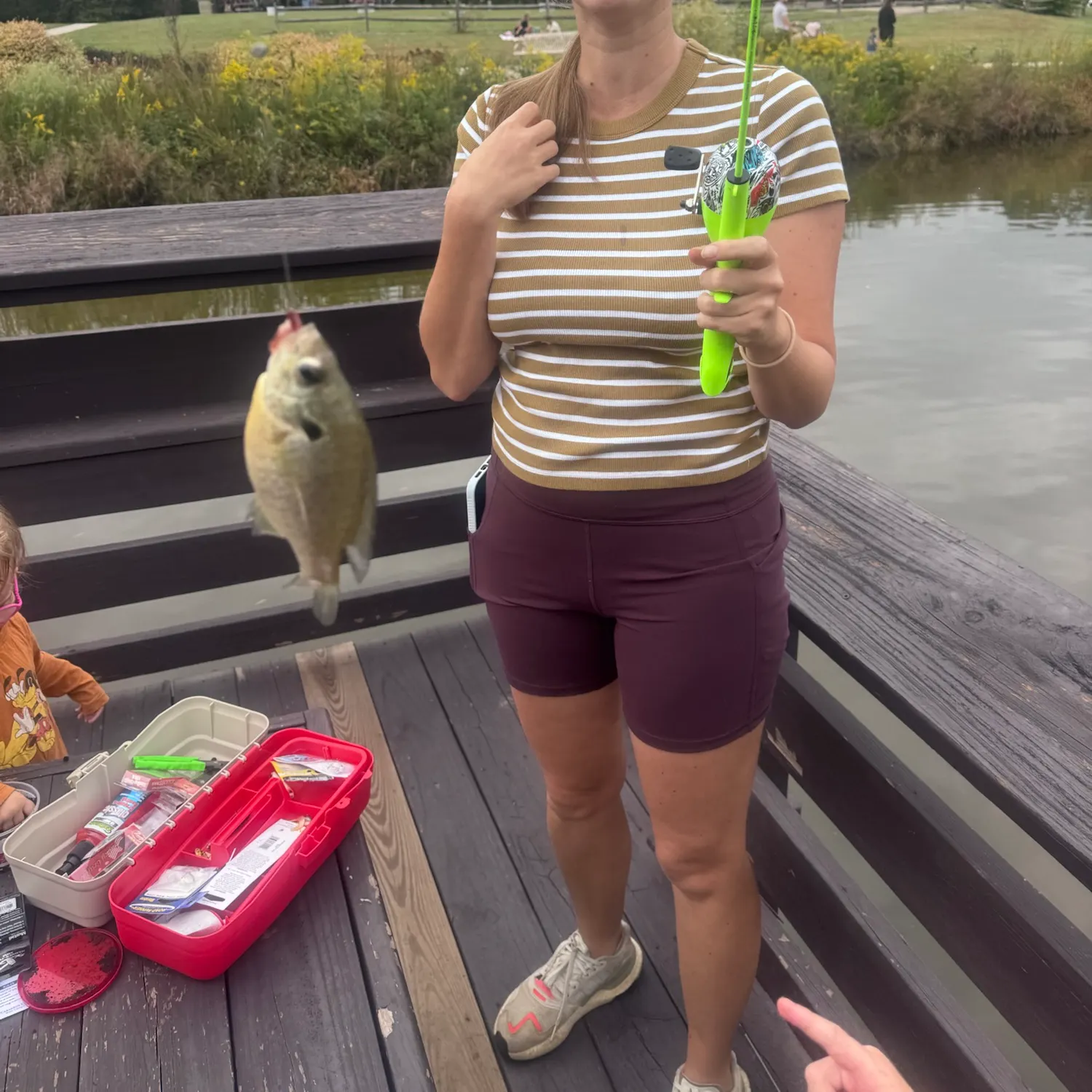 Crevalle jack caught on Fishbrain