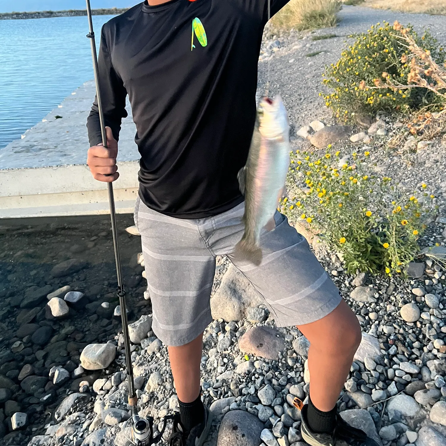 Rainbow trout caught on Fishbrain