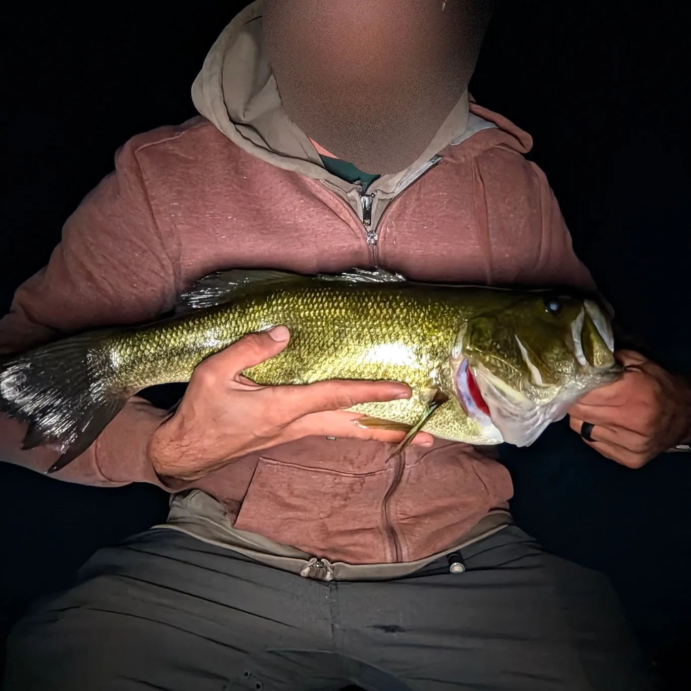 Largemouth bass caught on Fishbrain