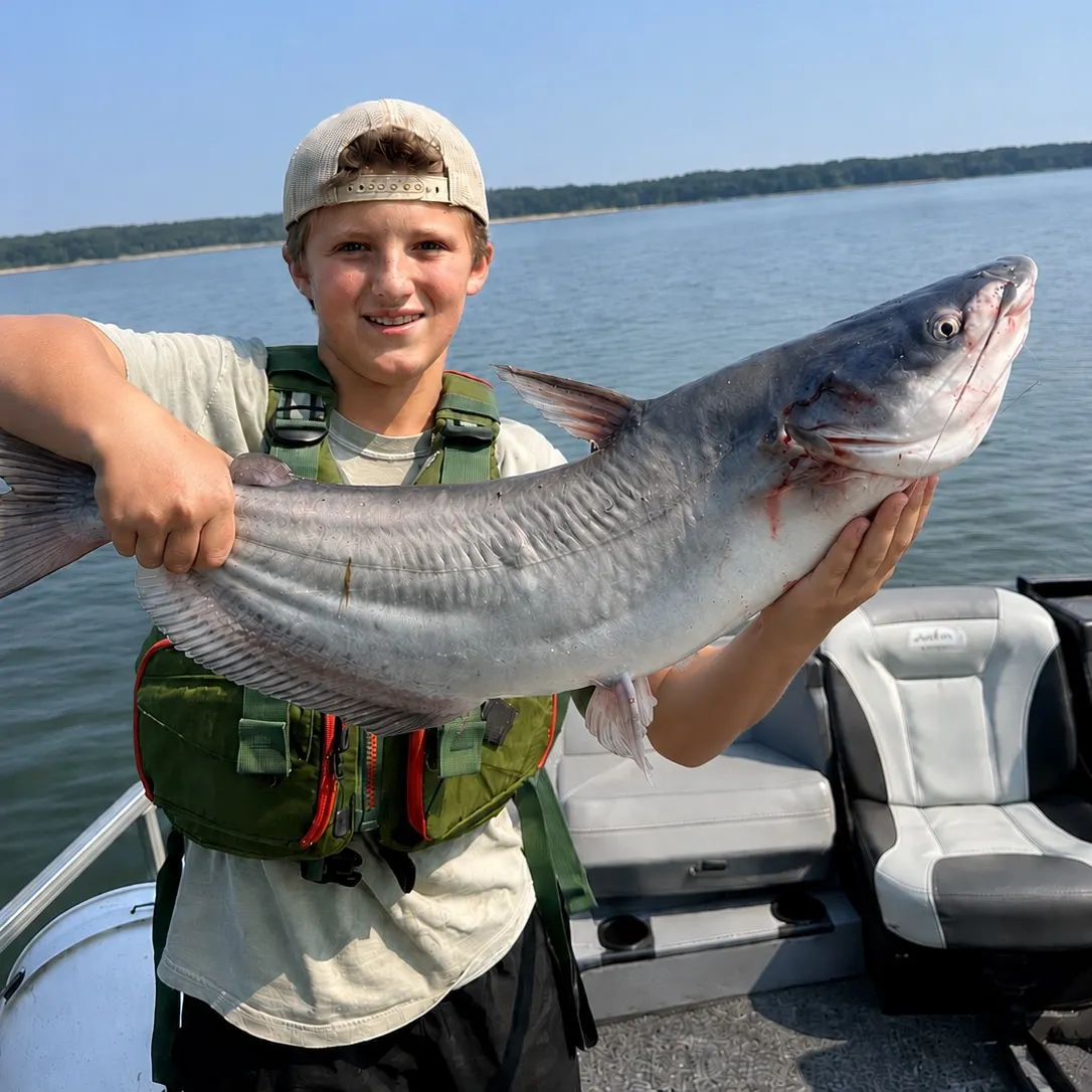 The most recent Blue catfish catches on Fishbrain