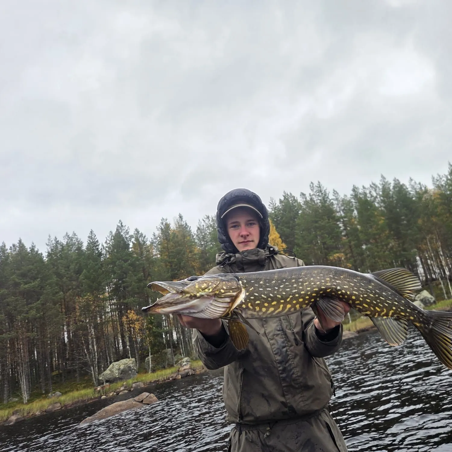 Northern pike caught on Fishbrain