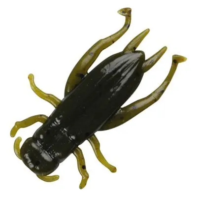Crickets