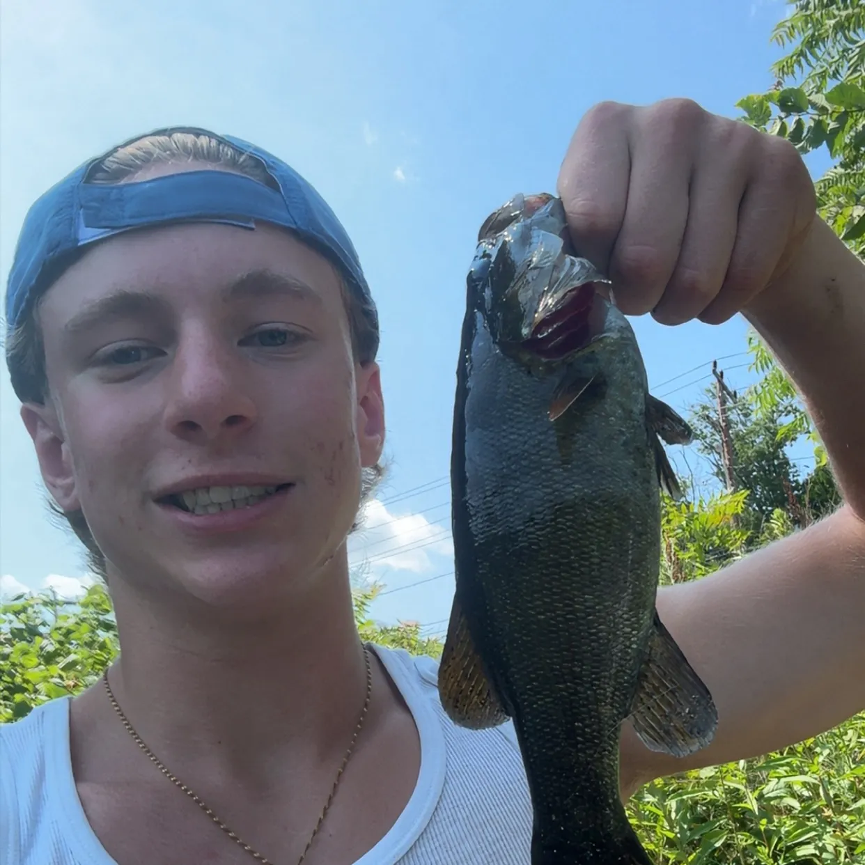 Smallmouth bass caught on Fishbrain